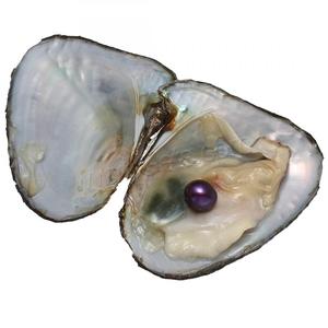 Farm Supply <strong>Pearl</strong> Party Gift DIY Vacuum Packing 7-8 mm <strong>Round</strong> Mixed Colors Natural <strong>Fresh</strong> <strong>Water</strong> <strong>Pearl</strong> Oyster 5PCs/Lot 1300290