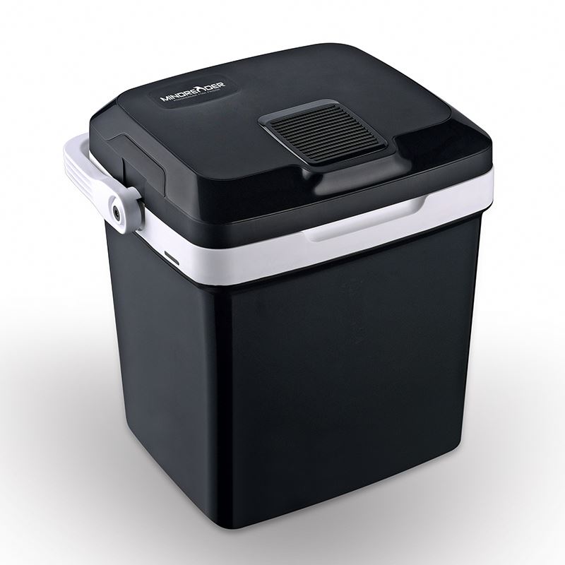Высокое качество 12В 220В Автомобильный мини-холодильник