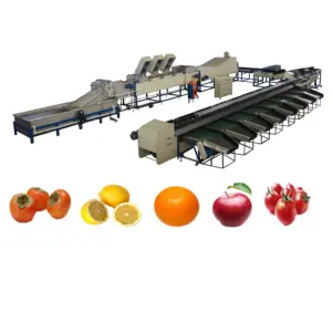 TOP SALES FACTORY OUTLET TOMATO GRADING MACHINE/FRUIT SORTER