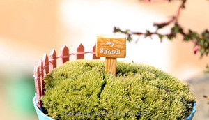 Casa decorationMoss micro ornamenti paesaggio Foresta di orientamento di montaggio FAI DA TE giocattoli manufatti per l'arredamento - Product Image 4