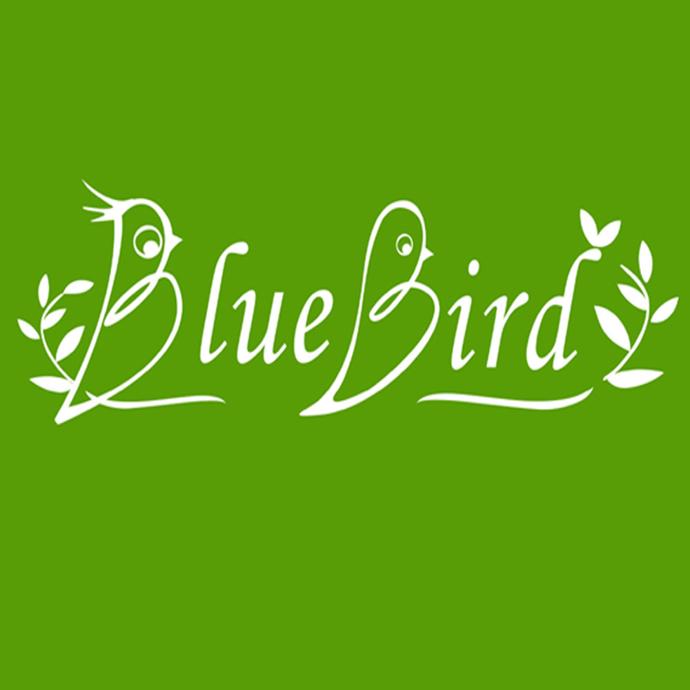 Yuyao Bluebird Tools Factory logo