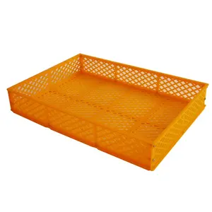 Cestas de plástico para incubar, accesorios para incubadora, color amarillo, whatsapp:0086-18953481991