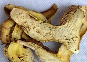Detan salvaje <span class=keywords><strong>Boletus</strong></span> <span class=keywords><strong>Edulis</strong></span> <span class=keywords><strong>precio</strong></span> - Product Image 3