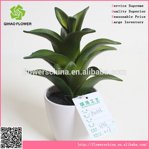 Bonita artificial <span class=keywords><strong>bonsai</strong></span> aloe para prettifing - Product Image 1