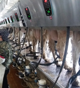 गाय डेयरी खेत डिजिटल इलेक्ट्रॉनिक दूध मीटर - Product Image 3