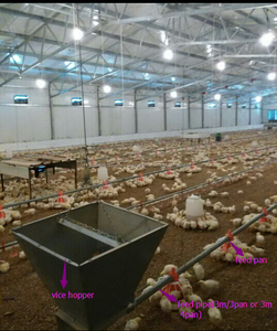 Entorno de granja de pollo automático controlador de aumento de equipos de granja de pollos - Product Image 6