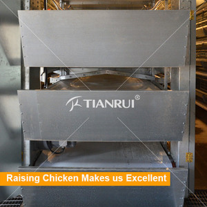 Tianrui Volaille De Ferme De Poulet Prix de L'équipement pour Couche/Chair/Poulette/Éleveur - Product Image 4