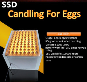 เครื่องทดสอบไข่แบบโต๊ะสำหรับศูนย์บ่มเพาะ - Product Image 5