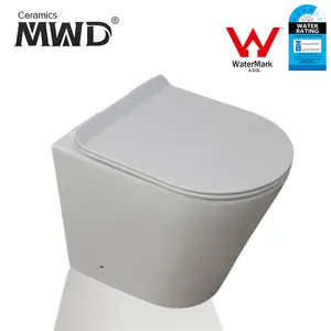 Rimless Sanitaryware Wall Faced Pan With Inwall Concealed Cistern Chaozhou Toilet