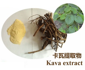 Extracto de Raíz de Kava <span class=keywords><strong>Kavakava</strong></span> al por Mayor, en Polvo, 10% 30%, Grado Alimenticio, con Envases en Botella, Tambor, Lata y Tarro Mason - Product Image 5