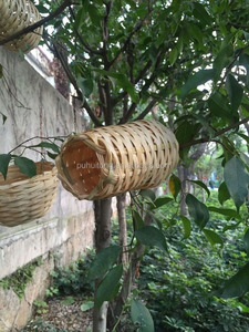 <span class=keywords><strong>Bamboo</strong></span> <span class=keywords><strong>Bird</strong></span> Ninho e Casa - Product Image 5