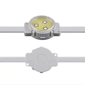 IP68 Spi Controle SMD3535 35Mm Led Pixel Spot Light Led Pixel Dot Voor Gevel Verlichting