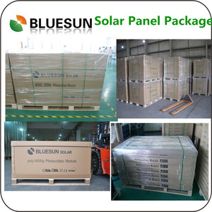 Paneles Solares Bluesun Fotovoltaicos 300 W 300Wp Panel Solar Sistema de Bombeo En Dominicana - Product Image 3