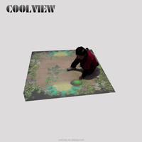 Logiciel projecteur interactif Floor Projection Floor Win 10 Interactive Floor Projection System