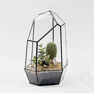 Classic style glass geometric terrarium box