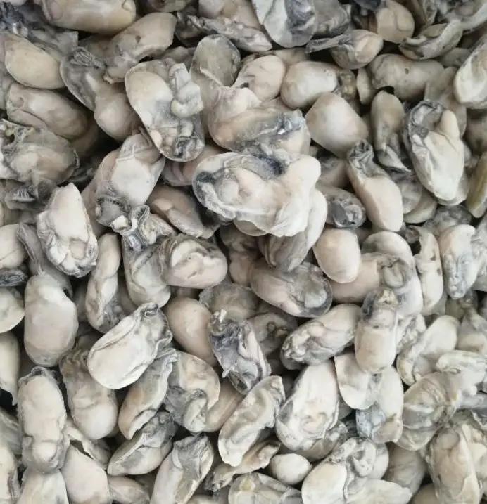 Congelati ostrica carne fresca oyster per la vendita di ostriche congelati