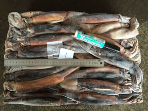 X6854 HACCP Fabricant de calmar argentin congelé pour le marché <span class=keywords><strong>Illex</strong></span> Squid 150-200g - Product Image 4