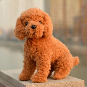 테디 베어 도매, kipper 다 개 soft toy 와 옷, 박제 toy poodle