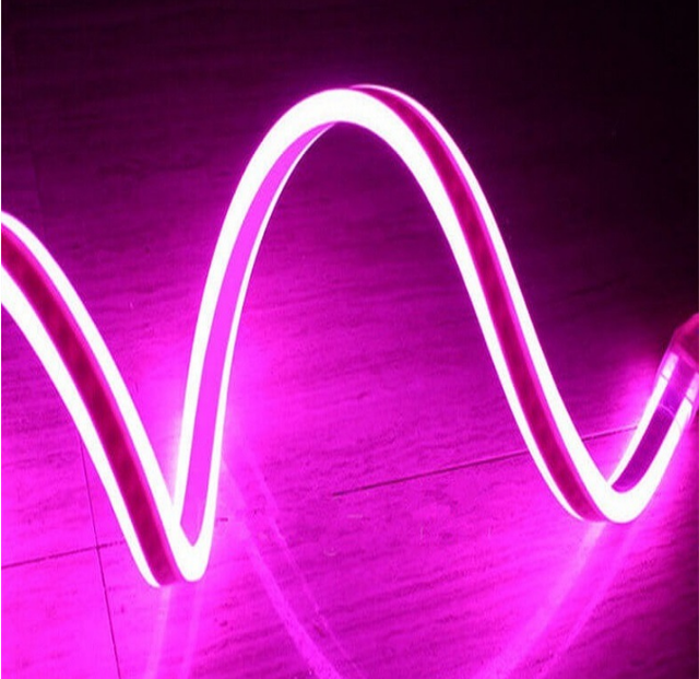 High Quality LED Double Side 8*16MM 120leds 12V Mini Ultra Neon Flex Tube Color String Light