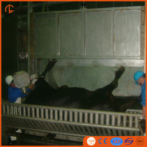 250 Horas de Ganado Procesamiento Halal de Carne Matadero Humano de Carne - Product Image 3