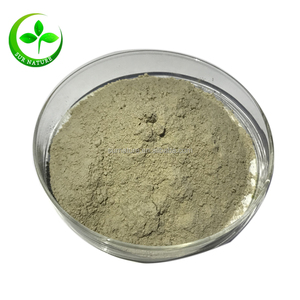 Bột Chiết Xuất Dưa Chuột Biển Nguyên Chất 100% Giá Tốt Nhất Từ Nhà Máy, 5:1 10:1 - Product Image 1