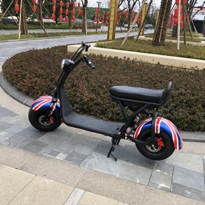 สกู๊ตเตอร์ไฟฟ้า 2019 COC / EEC 1500W L1e-<span class=keywords><strong>B</strong></span> ระยะทางสูงสุด 45 / 25 กม. - Product Image 5