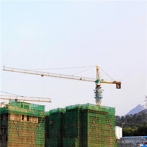 Gru a Torre per Edilizia con Riduttore e Motore, Momento di Carico Elevato 1250KN.M, Dalla Cina - Product Image 2