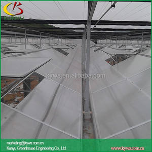 نوع سن منشار رخيص مجموعات الدفيئة مثمنة الدفيئة - Product Image 3