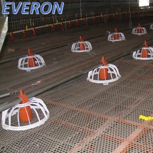 Tutto Shandong vendita Everon Multicolor <span class=keywords><strong>serie</strong></span> pollame automatico alimentazione del pollame sistema alimentatori per il pollo - Product Image 2