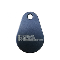 Logo Kustom LF/HF 125Khz Keytag 13.56Mhz ABS Ultrathin RFID Key Fob Tag Card NFC Gantungan Kunci untuk Kontrol Akses