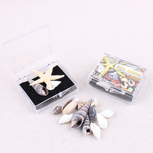 Sinh Học biển Mẫu Vỏ Acrylic Mẫu Địa Lý Giảng Dạy Tài Nguyên - Product Image 2