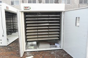Incubateur industriel multifonctionnel pour l'éclosion des œufs <span class=keywords><strong>de</strong></span> <span class=keywords><strong>faisan</strong></span>, couveuse, en plastique, grand prix - Product Image 4