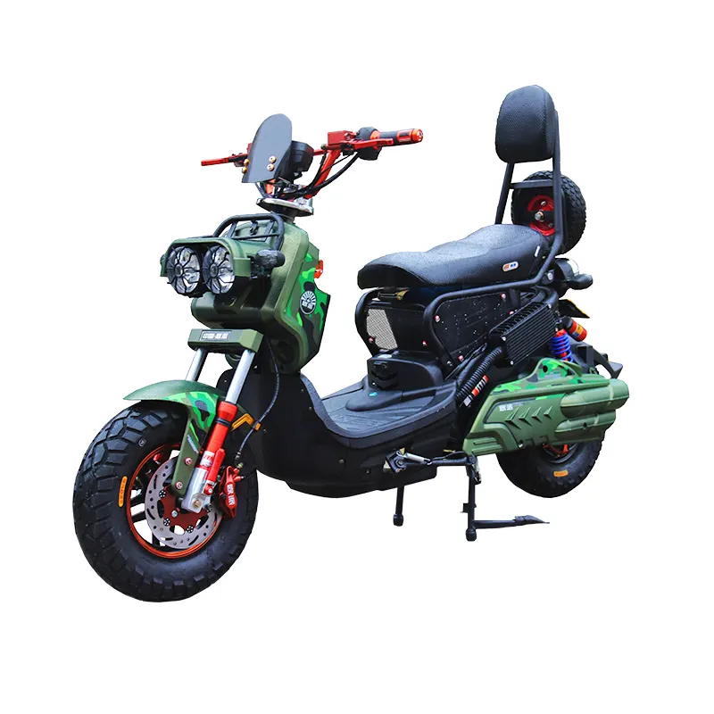 2000W High Speed Electric Sports Motorcycle for Adults with Pedals