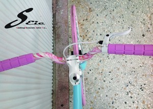 taiwán de una sola velocidad y ruedas libres 2 maneras de bicicletas fijas - Product Image 2