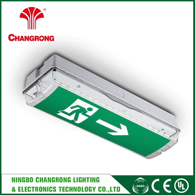 Personnalisé Led D'urgence Tube auto test Lumière Cloison