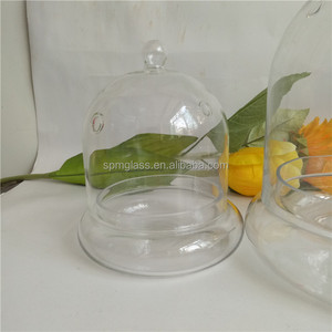Campane di Vetro Trasparenti all'Ingrosso con Base / Campane di Vetro con Base in Vetro Come Terrario per Piante - Product Image 5