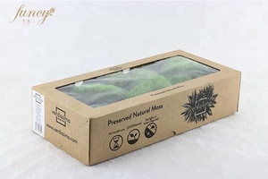 Quadro d'Arte Murale con Muschio <span class=keywords><strong>Naturale</strong></span> Preservato, Decorazione per la <span class=keywords><strong>Casa</strong></span> Ispirata al Feng Shui per Diwali - Product Image 6