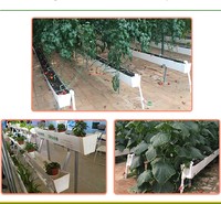 Système de culture hydroponique de fraises à petite échelle pour usage agricole, cadre en acier écologique, serre agricole multi-voûtes