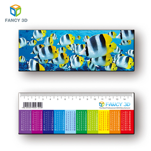 Règle parallèle imprimable en plastique, règle 3D claire, produit de vente en gros, Design personnalisé - Product Image 3