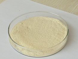 <span class=keywords><strong>Poudre</strong></span> de banane naturelle séchée par pulvérisation 80 Mesh pour boulangerie, crème glacée, boissons - Product Image 5