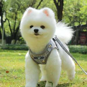 Harness Anjing Jaring Kecil yang Dapat Disesuaikan dari Desainer Mewah - Product Image 5