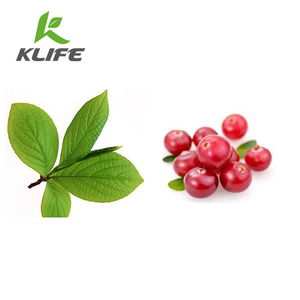 <span class=keywords><strong>Alfa</strong></span> <span class=keywords><strong>Arbutina</strong></span> Polvo Natural Para Blanquear La Piel - Product Image 2