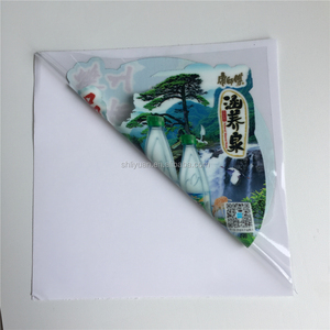 Custom Ultra-trasparente resistente UV PVC <span class=keywords><strong>stampa</strong></span> trasparente finestra adesivo adesivo adesivo adesivo statico pellicola trasparente per decorazione - Product Image 6