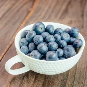 JB05 Blueberry Smaak Popping Boba Parels Voor Bevroren Yoghurt Topping
