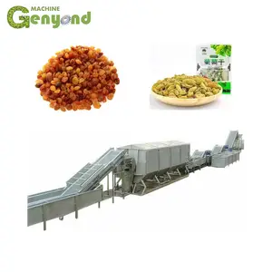 raisin washing and dehydration production line