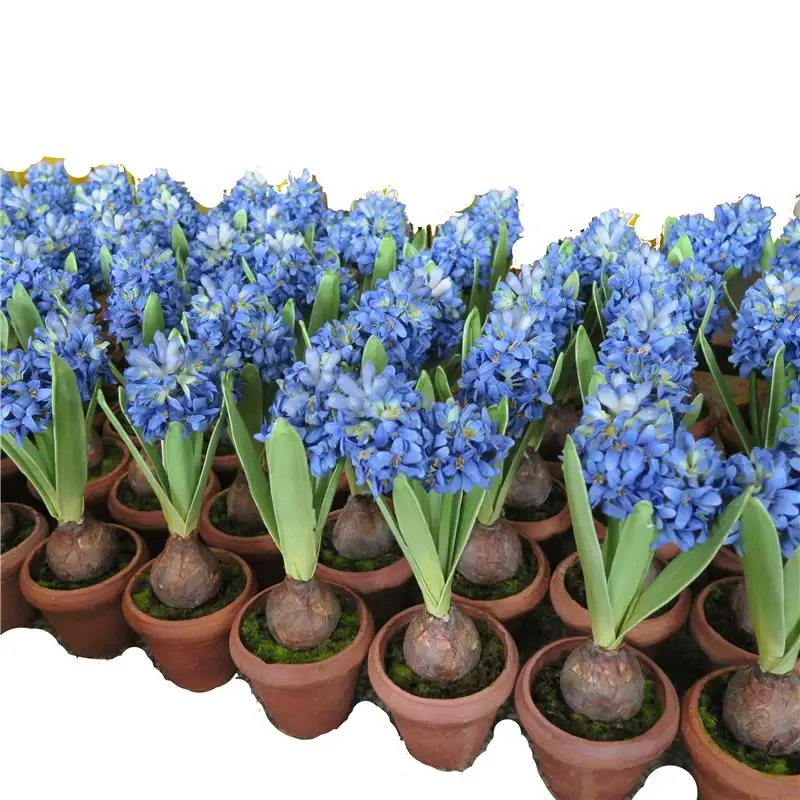 Hot koop kunstmatige hyacinth ingemaakte bloem hyacint