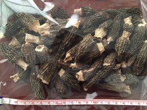 Detan सूखे जंगली मशरूम के लिए खरीदारों के लिए <span class=keywords><strong>Morel</strong></span> - Product Image 3