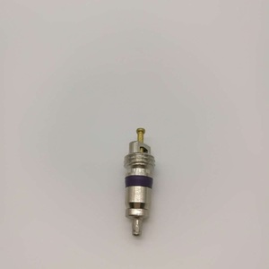 HVAC HNBR modello di auto Automotive aria condizionata <span class=keywords><strong>valvola</strong></span> nucleo per R12 R134A alesaggio strumento di rimozione della <span class=keywords><strong>valvola</strong></span> AC Core Made - Product Image 3