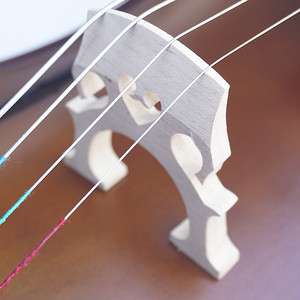 Violonchelos TL-VP11 Los Estudiantes Hechos A Mano Profesional Contrachapado Precios Baratos 4/4 Profesional - Product Image 4