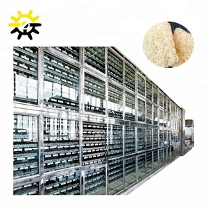 เครื่องทำบะหมี่กึ่งสำเร็จรูปแบบไม่ทอดอัตโนมัติเครื่องทำเส้นก๋วยเตี๋ยวแบบกึ่งสำเร็จรูปธัญพืชแห้ง - Product Image 5